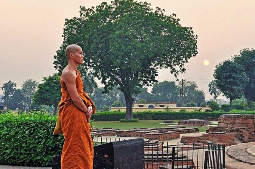 A person in orange robes standing in a park with a large tree and brick structures in the background. 5