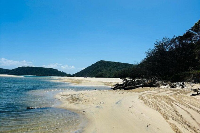 A beach with clear water, sandy shore, and a forested hill in the background. 5