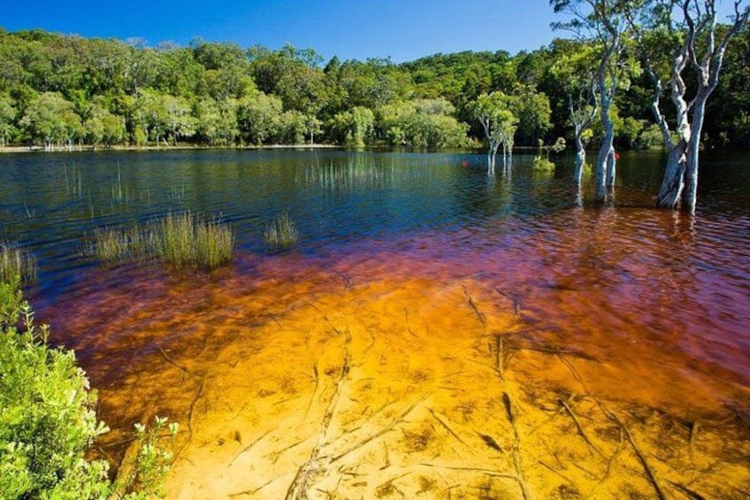 A lake with clear water, a sandy shore, and trees in the background. 2