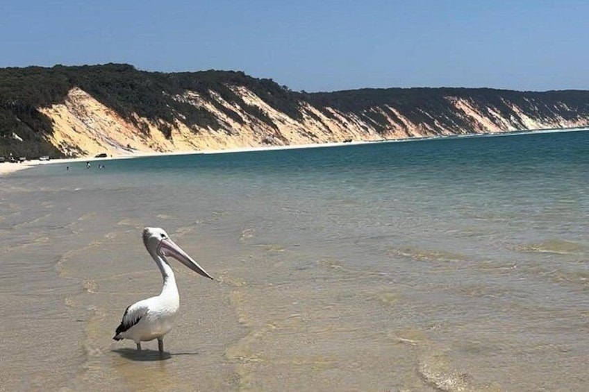Rainbow Beach Coloured Sands 2