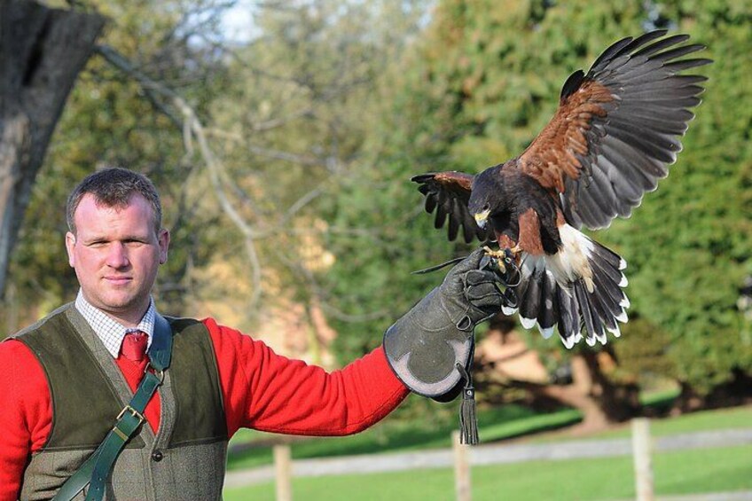 Leeds Castle Admission - Ultimate Explorer Tickets 3