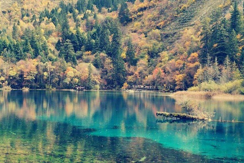 Un lac paisible, bordé d’arbres aux couleurs automnales. 5