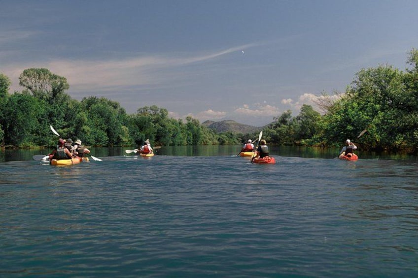 Persone che fanno kayak su un fiume tranquillo, circondate da vegetazione rigogliosa. 3