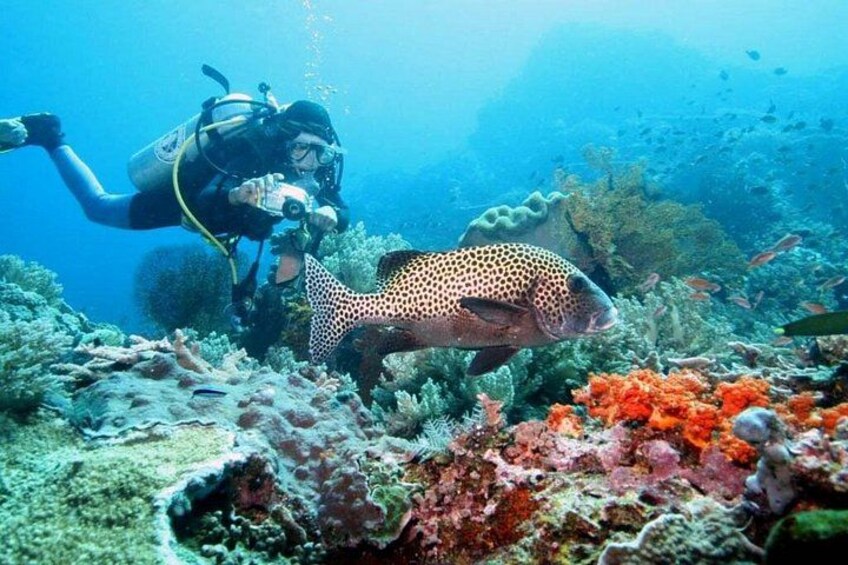 Nusa Penida Island West Snorkeling With Manta Rays 5