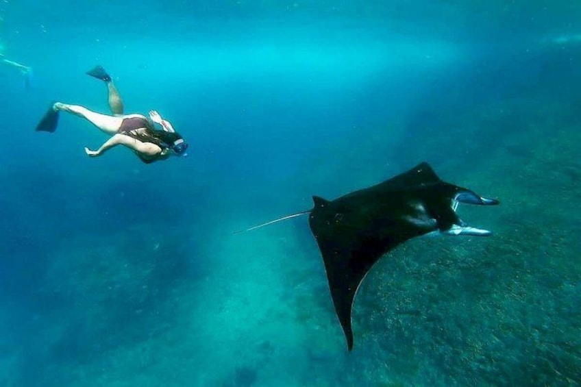 Nusa Penida Island West Snorkeling With Manta Rays 1