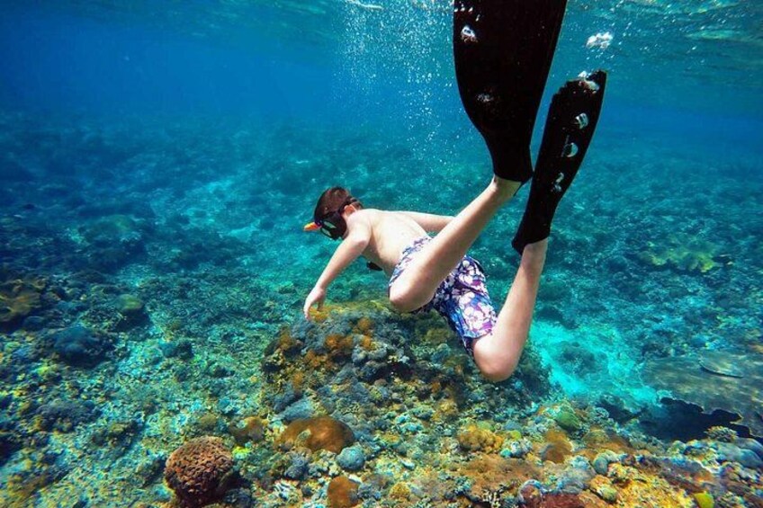 Nusa Penida Island West Snorkeling With Manta Rays 2
