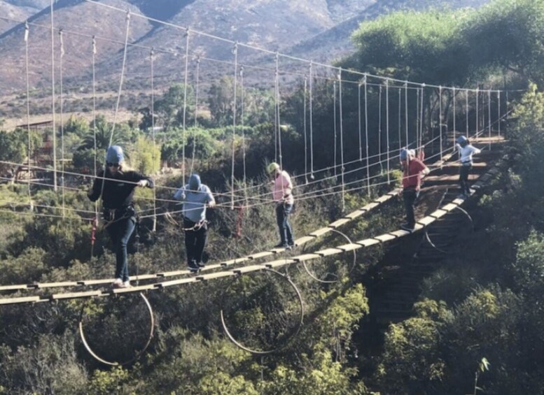 Picture 4 for Activity Ensenada: Zipline and Hanging Bridges at Las Cañadas 3