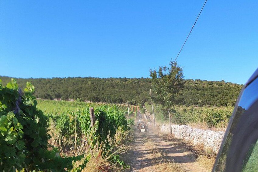 Buggy Tour in Puglia near Alberobello Polignano a mare 5