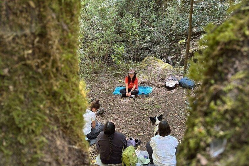 A group of people sitting in a forest clearing with backpacks and a tent. 5
