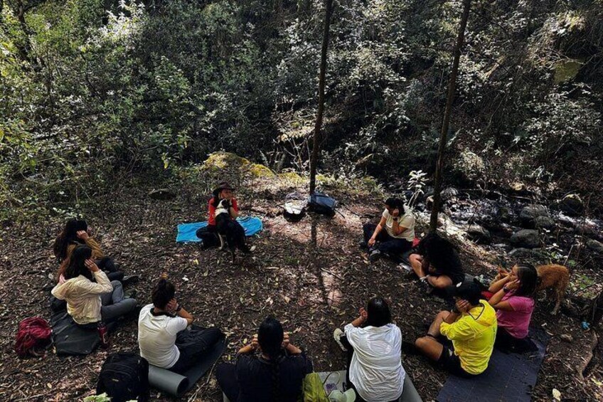 A group of people sitting in a circle outdoors, surrounded by trees and rocks. 1