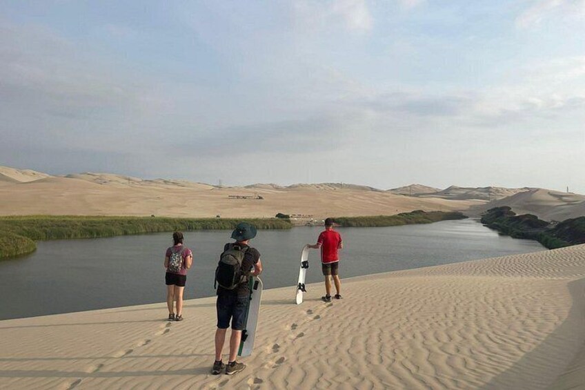 Enjoying the oasis! 3