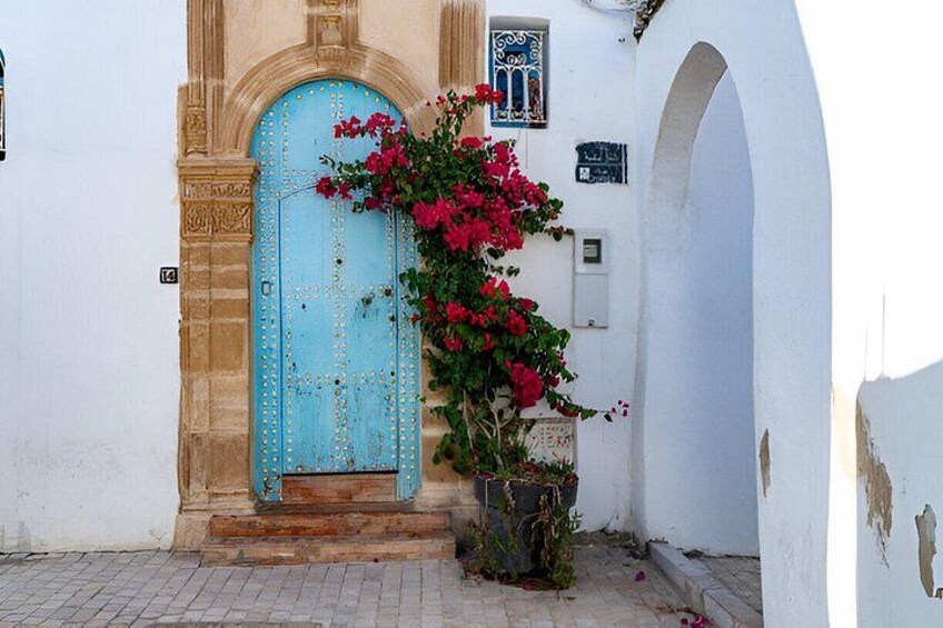 A turquoise door with a decorative arch, a potted plant with red flowers, and a white wall with a small sign. 2