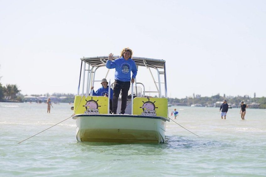 Anna Maria Island Dolphin Sightseeing Adventure 2