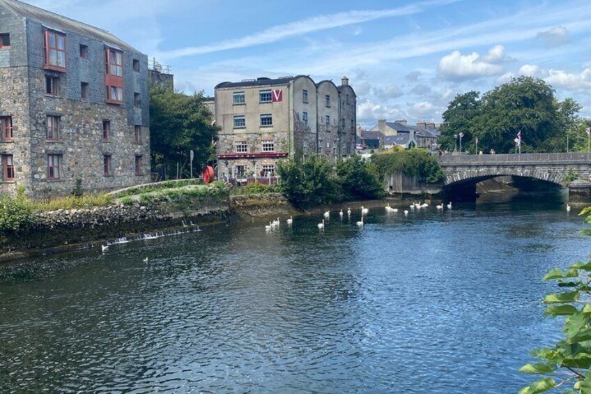 Un río con cisnes, un puente de piedra y edificios a lo largo de las orillas. 4