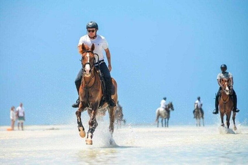 Zanzibar Horse Riding 1