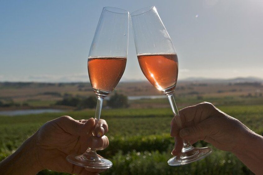 Dos manos sosteniendo copas de vino con un paisaje de atardecer al fondo. 5
