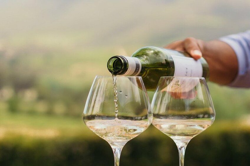 Lovely sauvignon Blanc wine 2