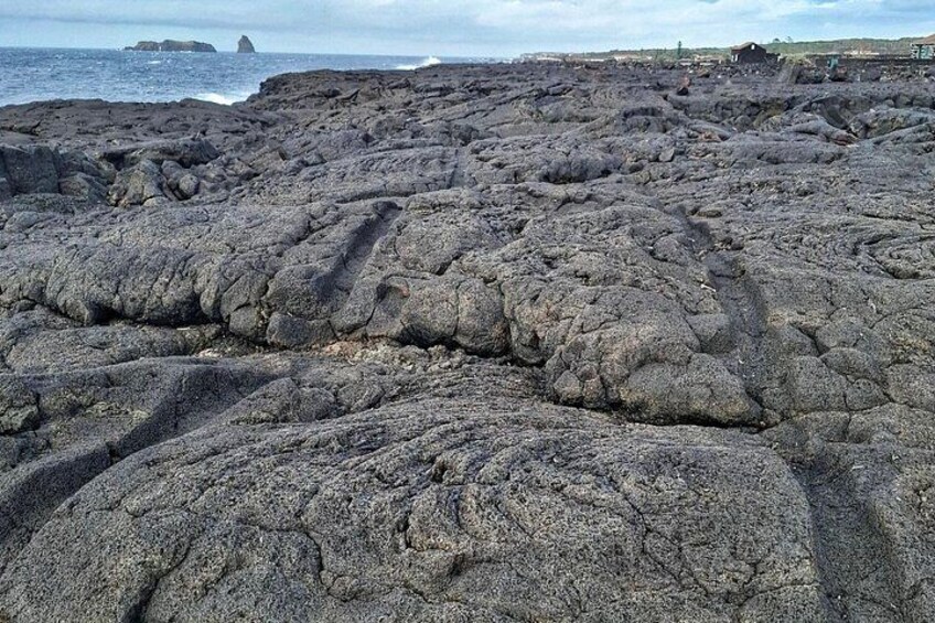 Pico Island wine culture - Private tour (+ optional wine tasting) 2