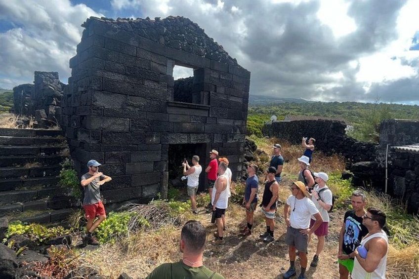 Pico Island wine culture - Private tour (+ optional wine tasting) 5