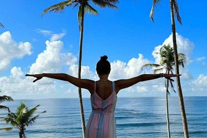 Round Tour Around Sri Lanka by Car - Accommodation with Breakfast 3