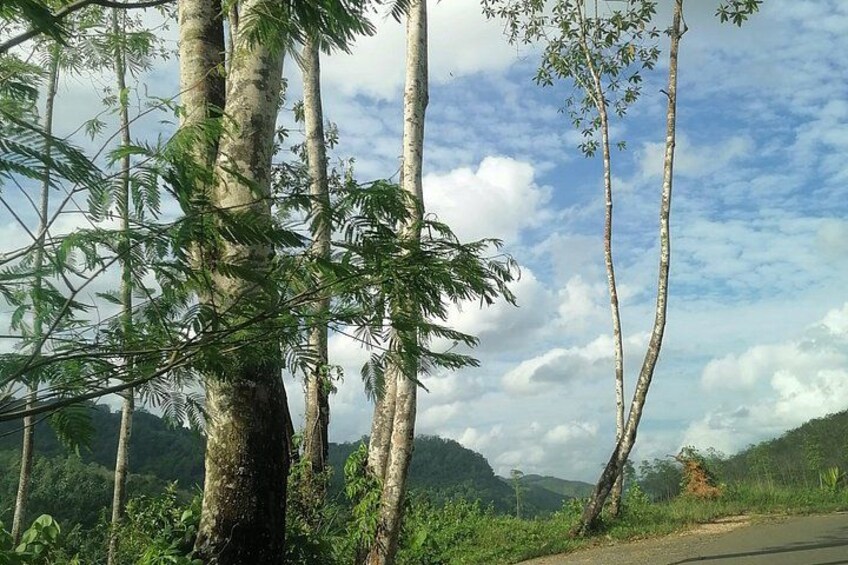 Round Tour Around Sri Lanka - Car & Accommodation with Breakfast 2