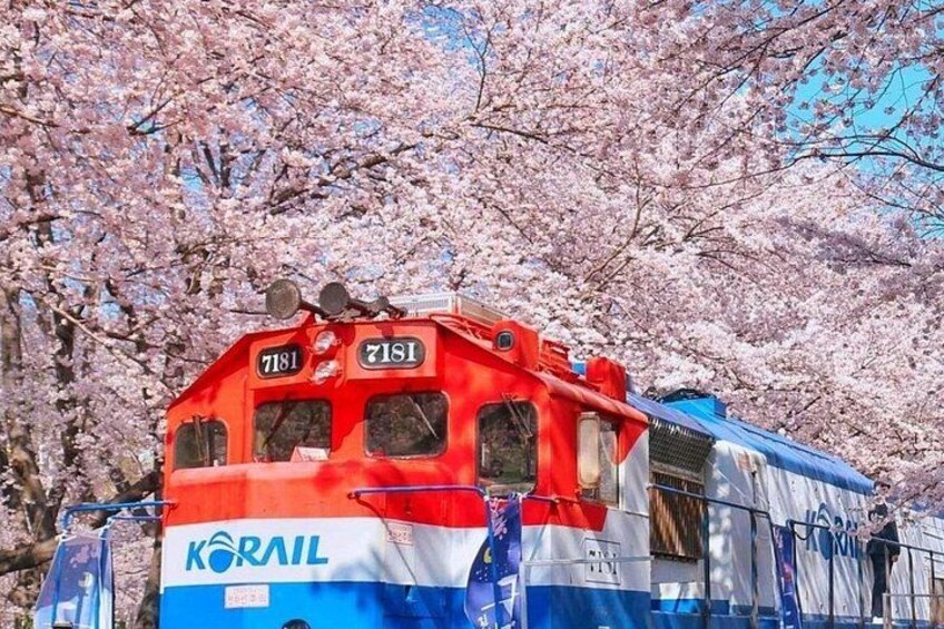 A red and blue train with the number 7181, surrounded by cherry blossoms. 1