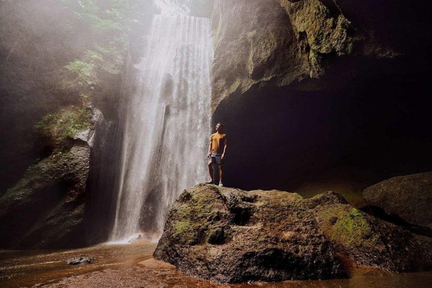 A waterfall, a person standing on a rock, and a forested area. 1