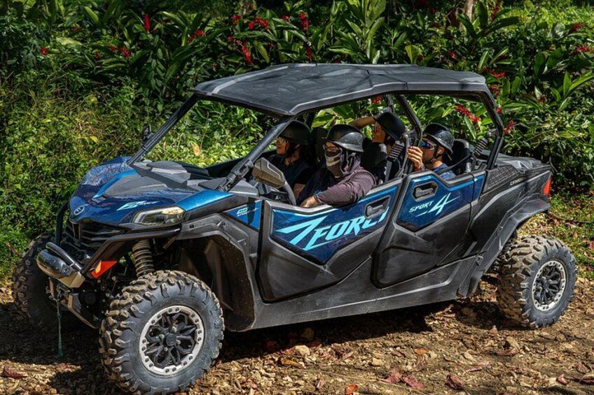 Off-Road UTV Tour : Explore Puerto Rico minutes from San Juan 4