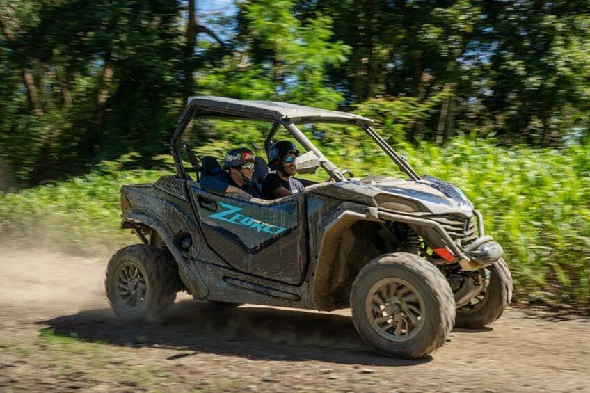 Off-Road UTV Tour : Explore Puerto Rico minutes from San Juan 1