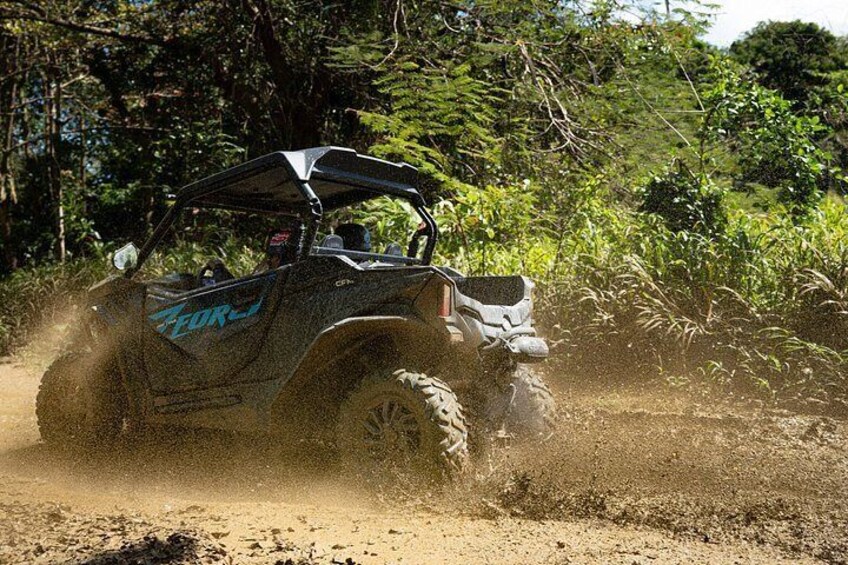 Off-Road UTV Tour : Explore Puerto Rico minutes from San Juan 5