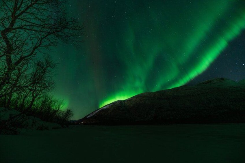 Nattehimmel med nordlys over et snedækket landskab. 5