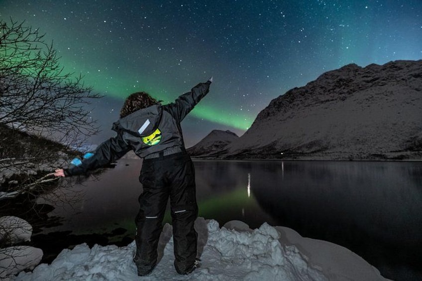 Une personne se tient sur une rive enneigée, contemplant le ciel nocturne illuminé par des aurores boréales. 3