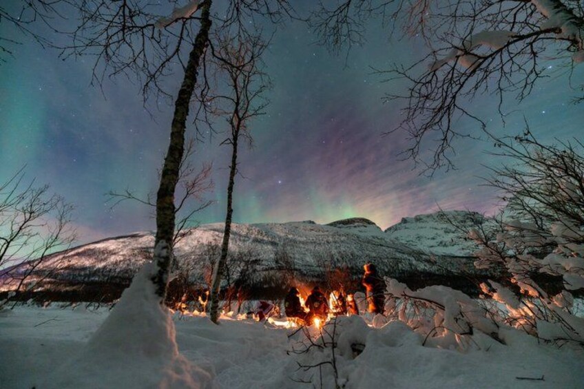 Sneklædt landskab med et lejrbål, træer og en bakke under en nattehimmel med nordlys. 4