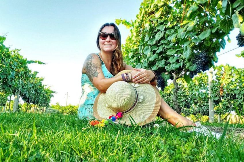 Une personne assise sur l’herbe, dans un vignoble, avec des rangs de vignes et un ciel dégagé. 1