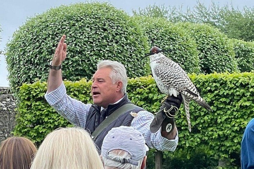 Falconry Show Dunrobin Castle 3