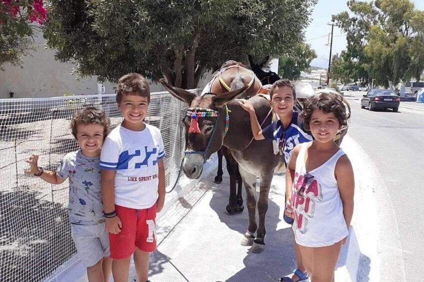 Authentic Pyrgos Village Donkey Ride and Feeding Experience 4