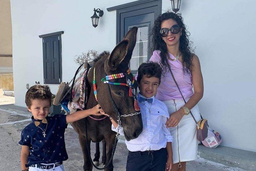 Authentic Pyrgos Village Donkey Ride and Feeding Experience 3