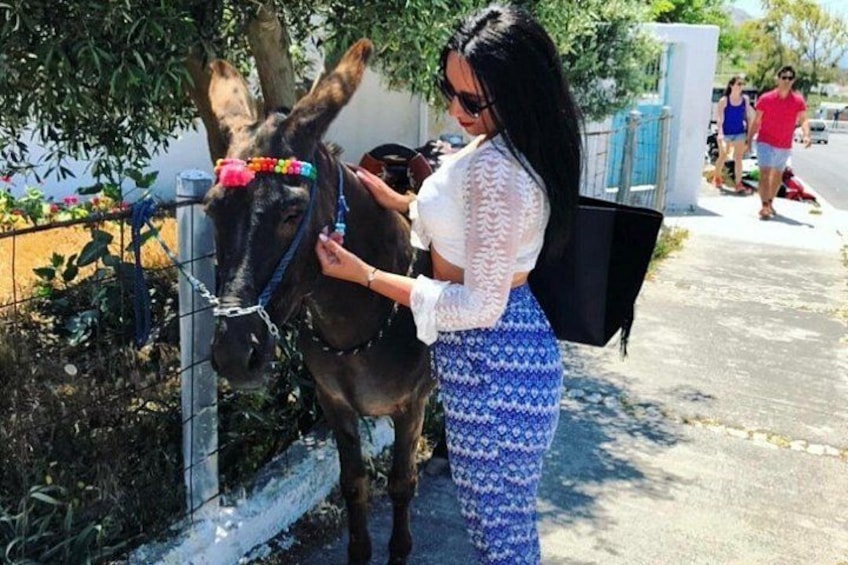 Authentic Pyrgos Village Donkey Ride and Feeding Experience 2