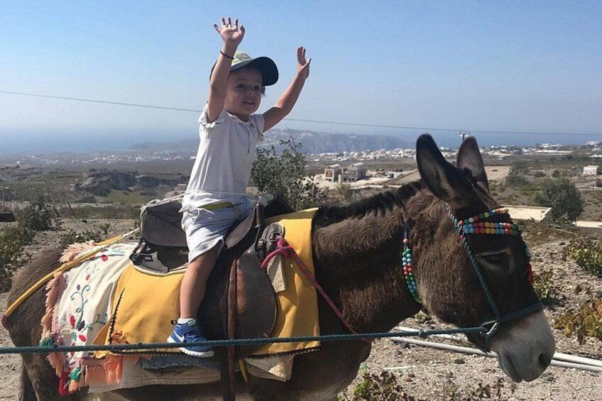 Authentic Pyrgos Village Donkey Ride and Feeding Experience 5