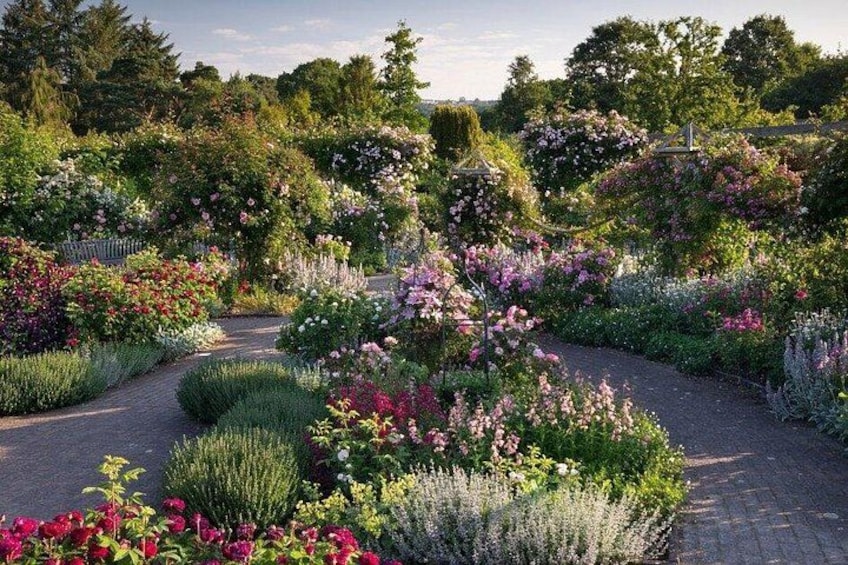 A garden with various flowering plants and a paved walkway. 1