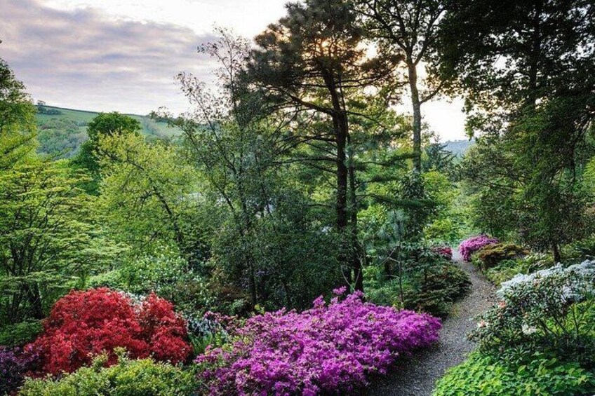 RHS Garden Rosemoor 3