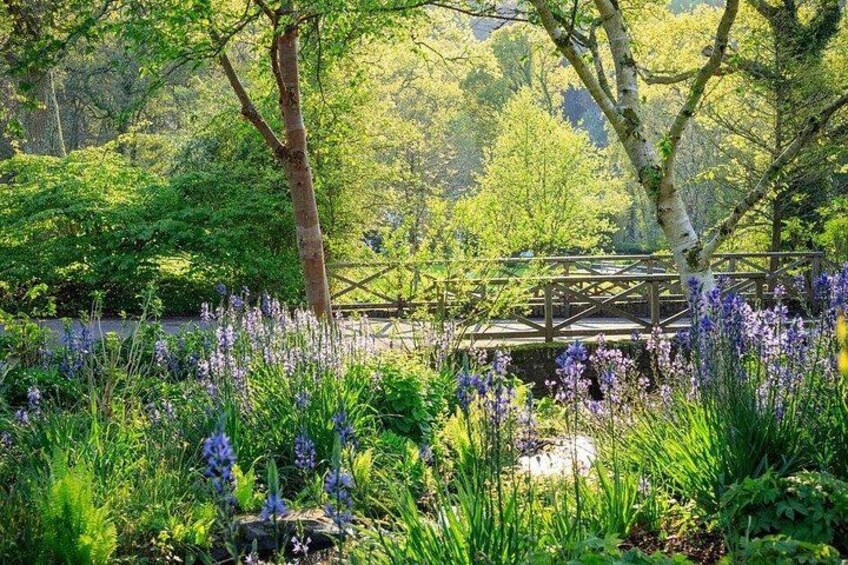 RHS Garden Rosemoor 5