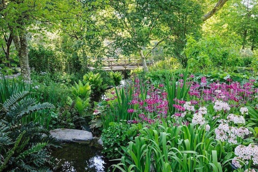 A garden with a small stream, lush greenery, and pink flowers. 2