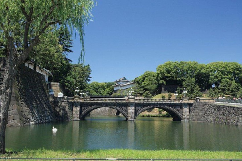 Half Day Tokyo Sightseeing Tour by Hato Bus 2