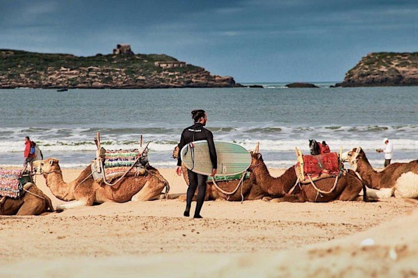 Day Trip to Essaouira from Marrakech 1