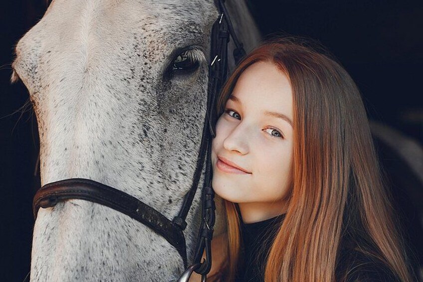 A close-up of a horse's head with a bridle. 5