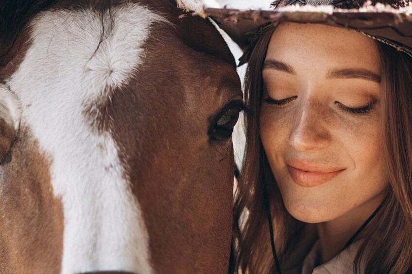 A close-up of a horse's head with a white and brown coat. 1