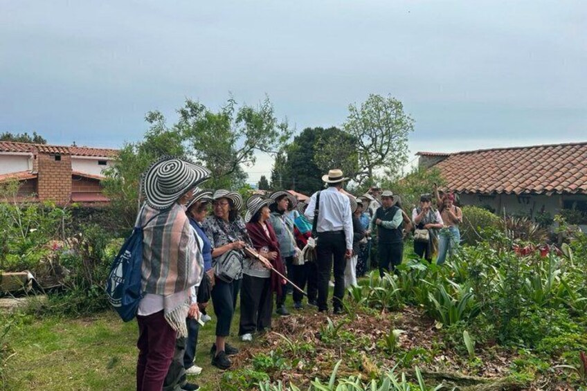 Medellin : Flower Fair in Saint Helena All year round 3