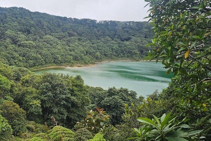 Coffee Tour with Poás Volcano and La Paz Waterfalls from San José 3