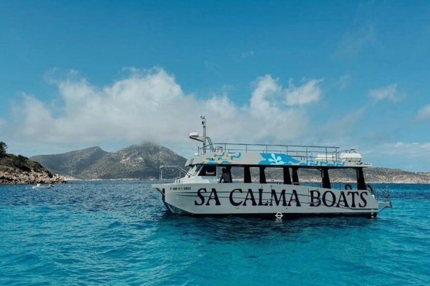Boat trip to Dragonera Island and San Telmo from Andratx 4